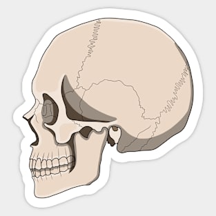 skull Sticker